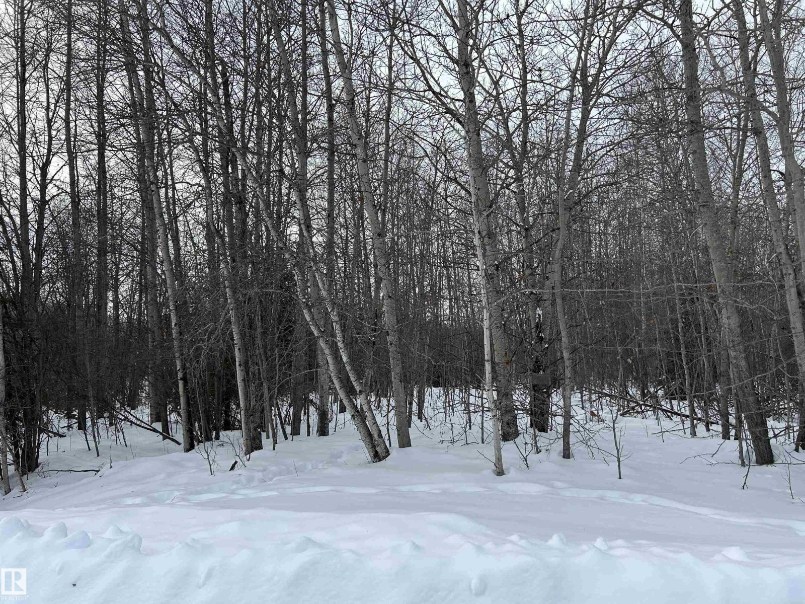 4 59011 Rge Rd 232, Rural Thorhild County, Alberta  T0G 2J0 - Photo 2 - E4471713