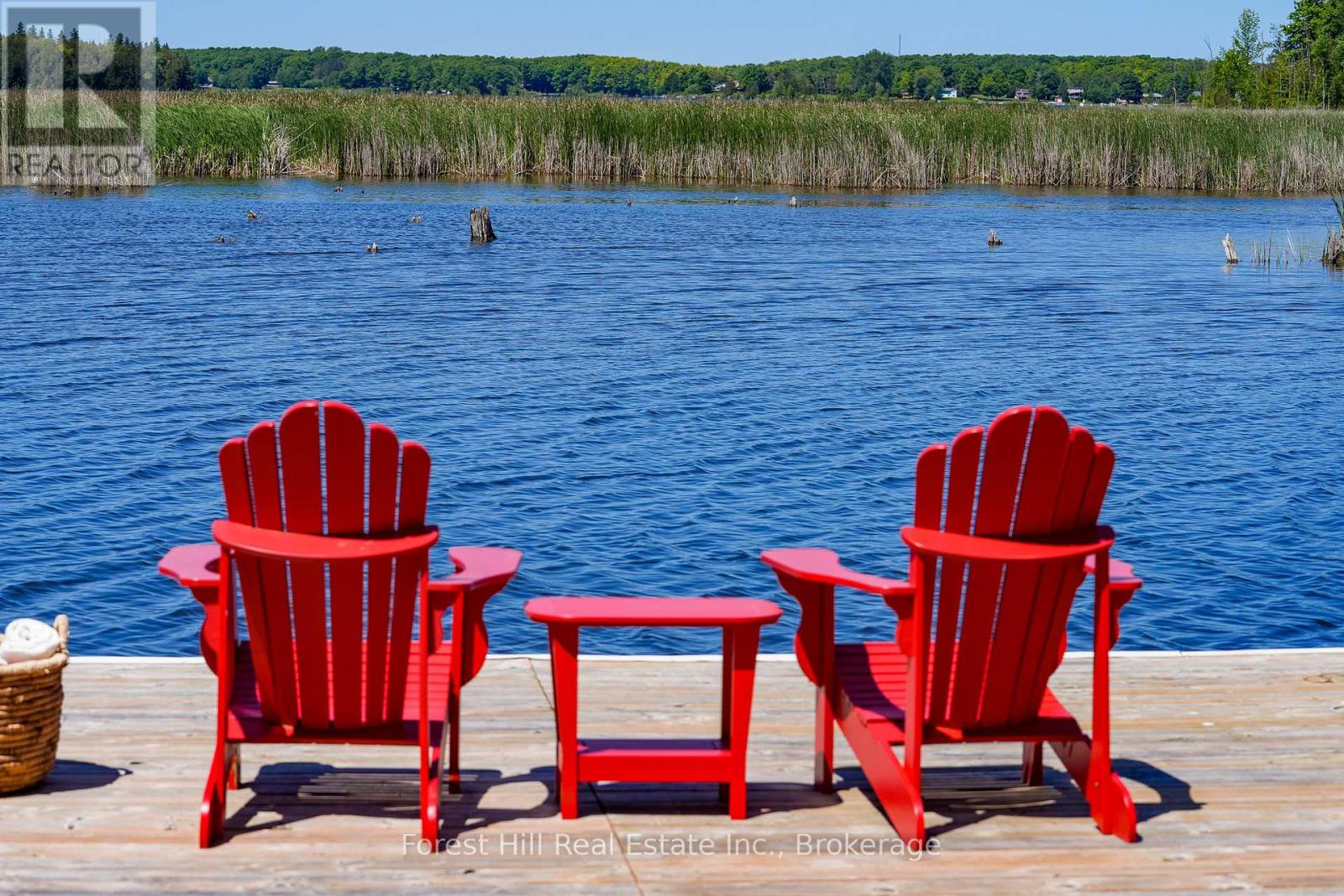 230 Wiles Lane, Grey Highlands, Ontario  N0C 1E0 - Photo 2 - X12744736