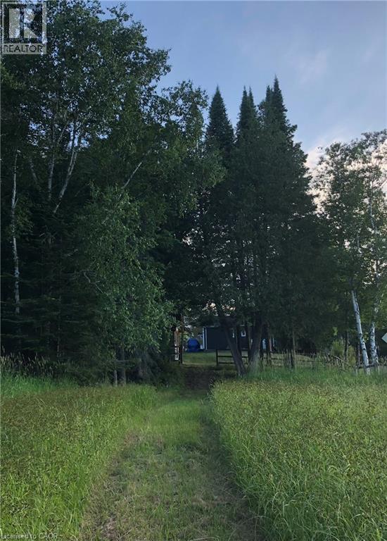 469 Rowanwood Road, Huntsville, Ontario  P0B 1M0 - Photo 32 - 40800003