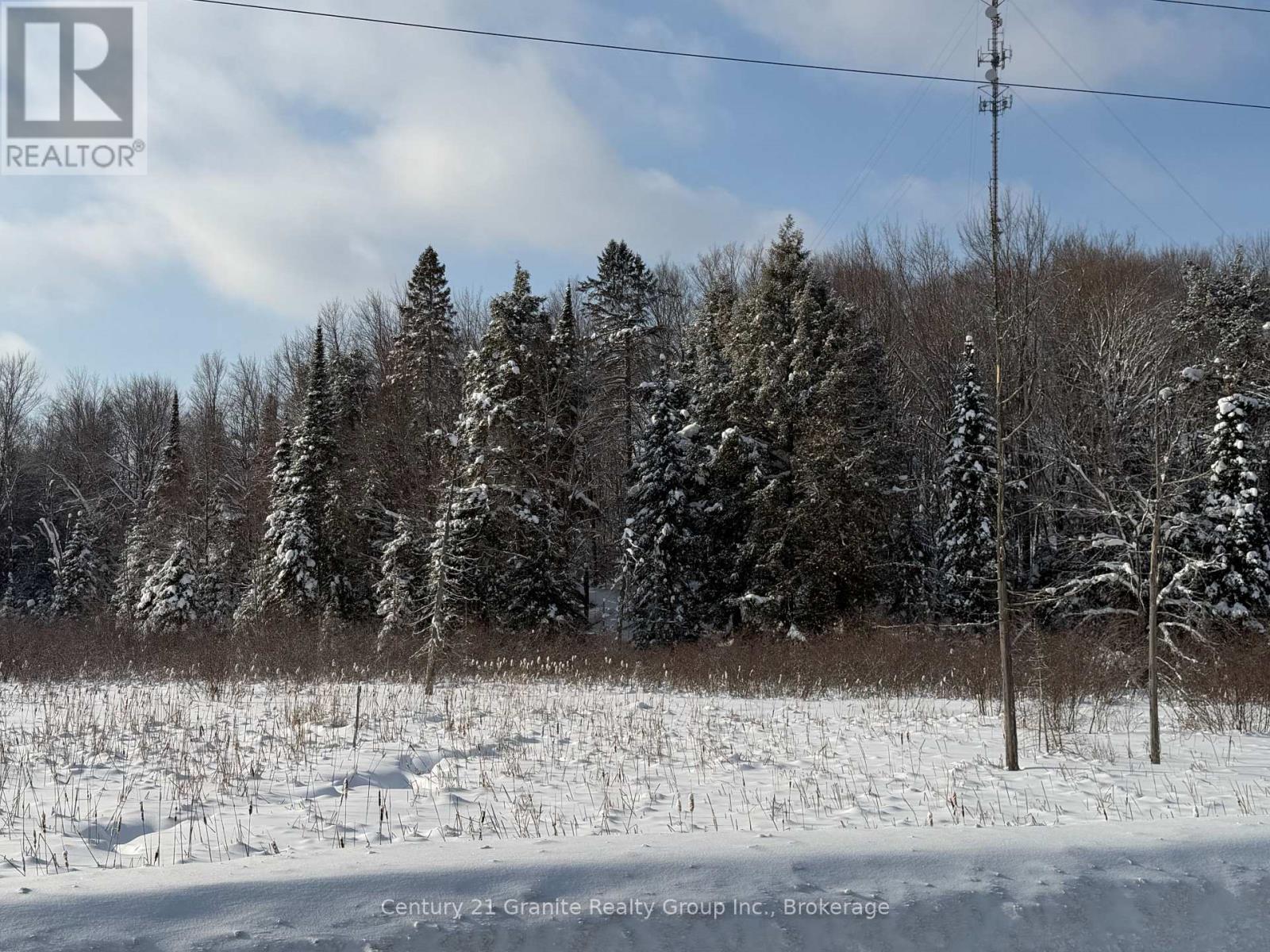 0 Highway 118, Dysart Et Al, Ontario  K0M 1S0 - Photo 5 - X12744746