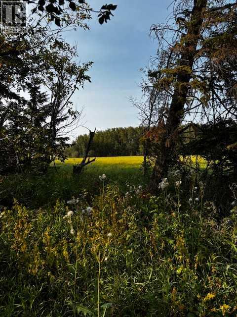 460021 Rge Rd 241, Rural Wetaskiwin No. 10, Alberta  T9A 1X1 - Photo 12 - A2282596