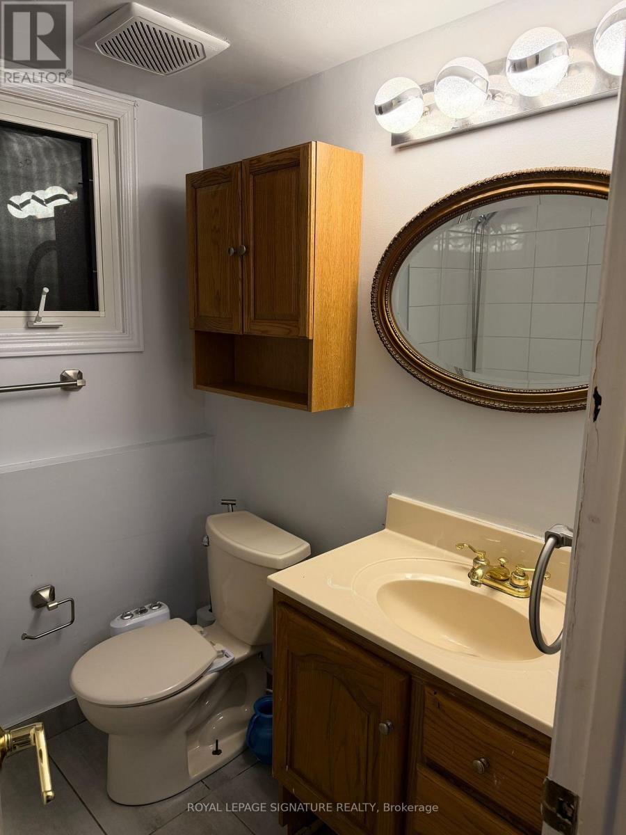 Bsmt - 116 Lacey Crescent N, London South, Ontario  N6E 2E7 - Photo 13 - X12744826