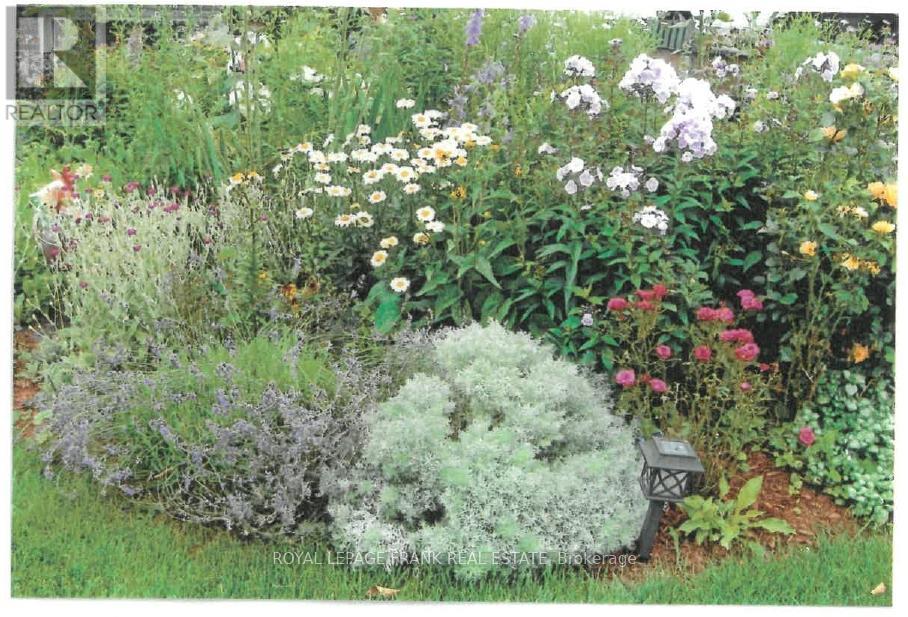 491 Chamberlain Street, Peterborough, Ontario  K9J 4L3 - Photo 37 - X12744940