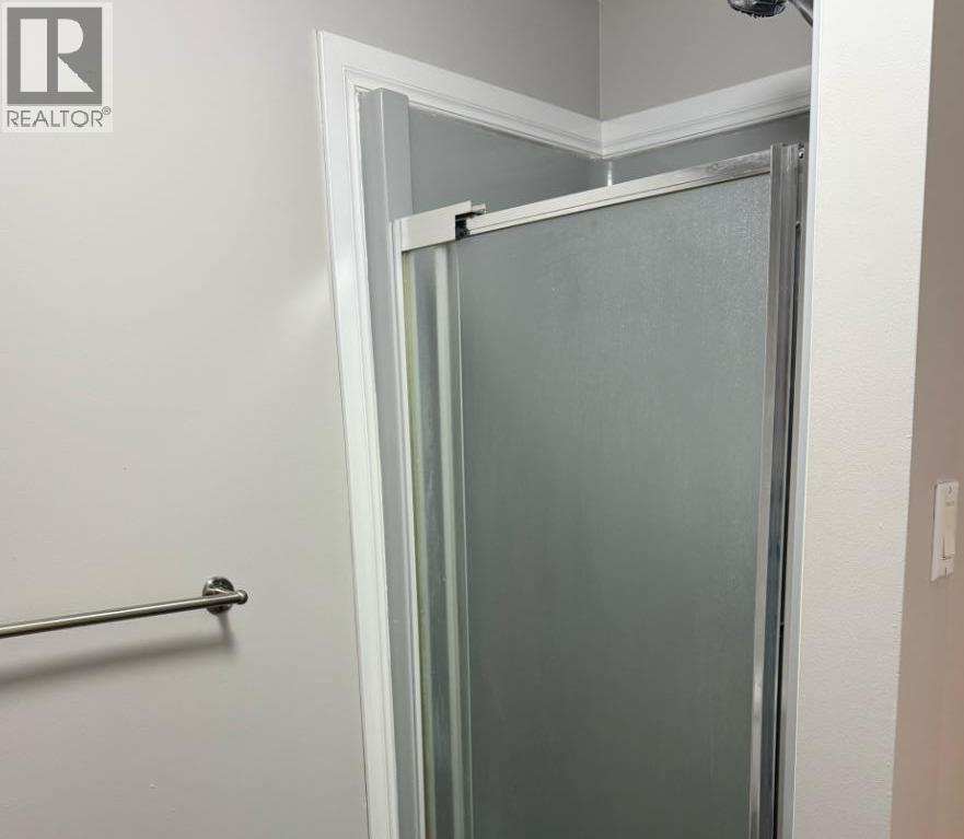 62 Wedow Drive, Whitecourt, Alberta  T7S 1B7 - Photo 25 - A2259101