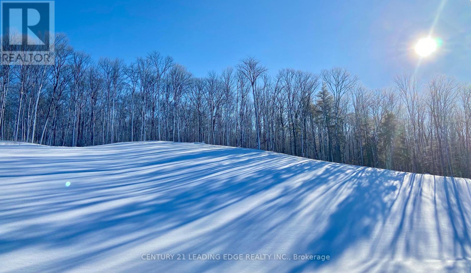 43 Thoroughbred Drive, Oro-Medonte, Ontario  L0K 1E0 - Photo 37 - S12744958