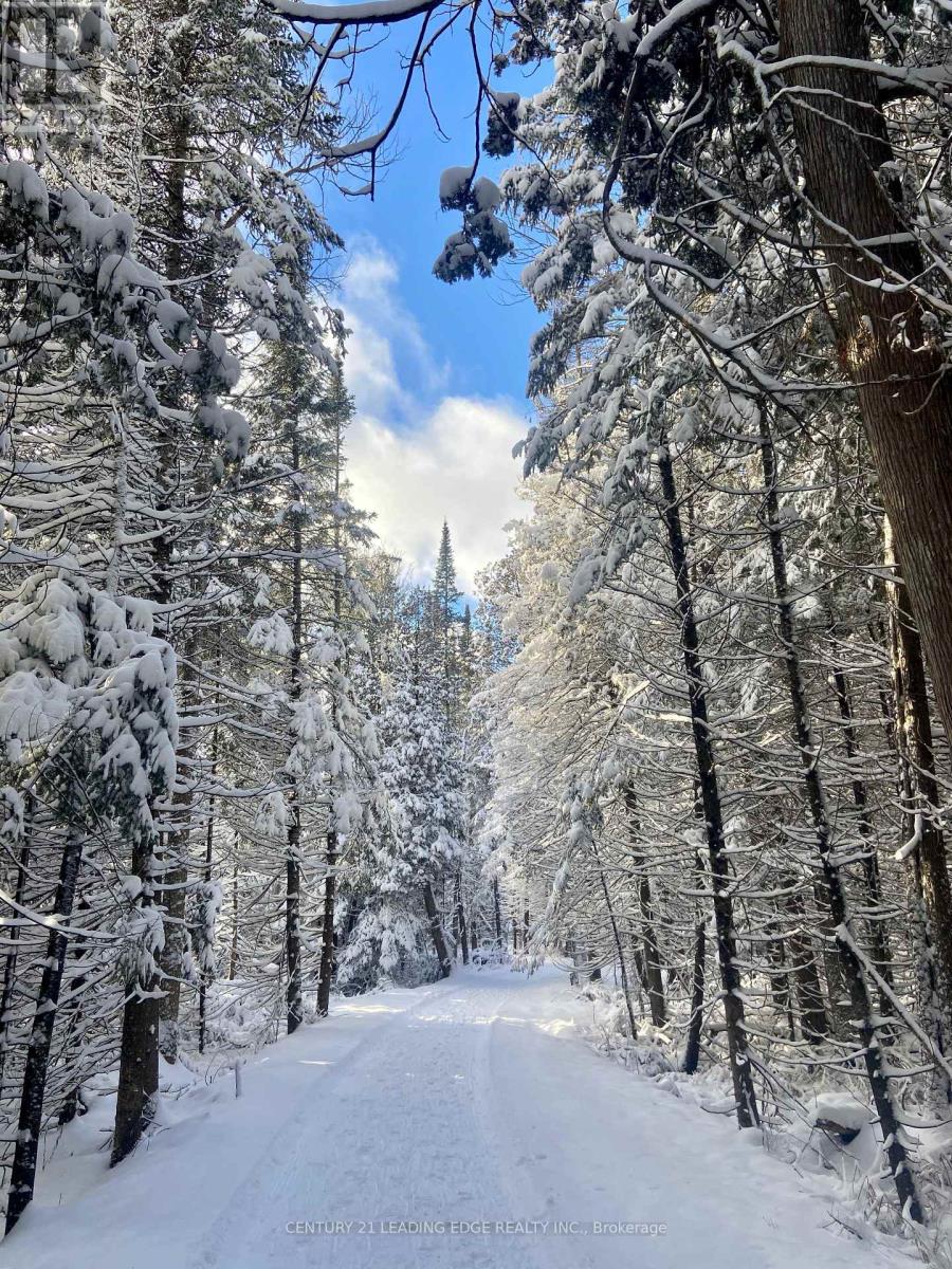 43 Thoroughbred Drive, Oro-Medonte, Ontario  L0K 1E0 - Photo 39 - S12744958