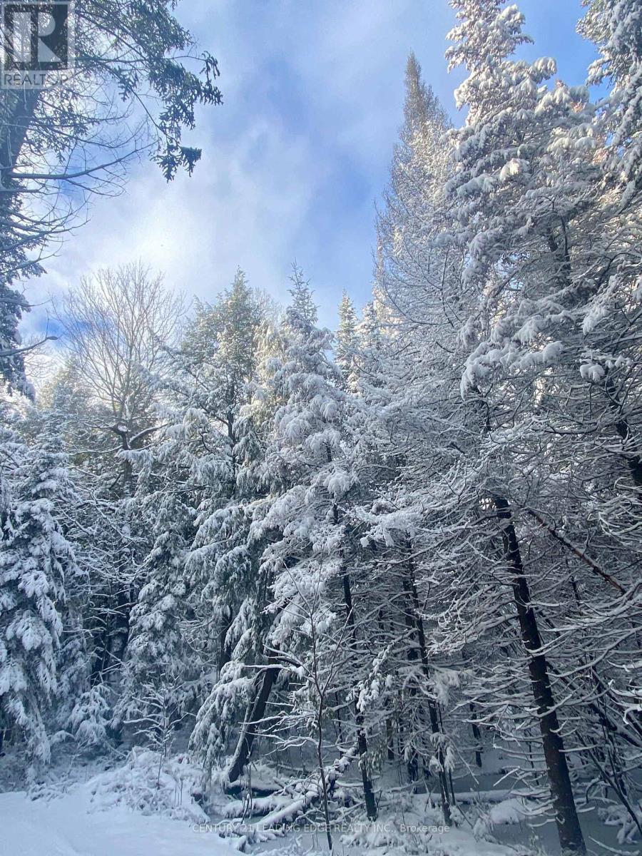 43 Thoroughbred Drive, Oro-Medonte, Ontario  L0K 1E0 - Photo 40 - S12744958