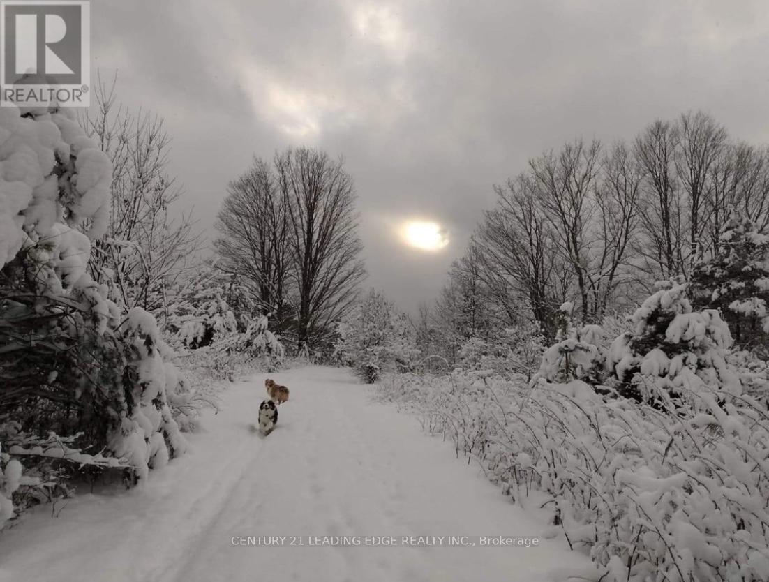 43 Thoroughbred Drive, Oro-Medonte, Ontario  L0K 1E0 - Photo 41 - S12744958