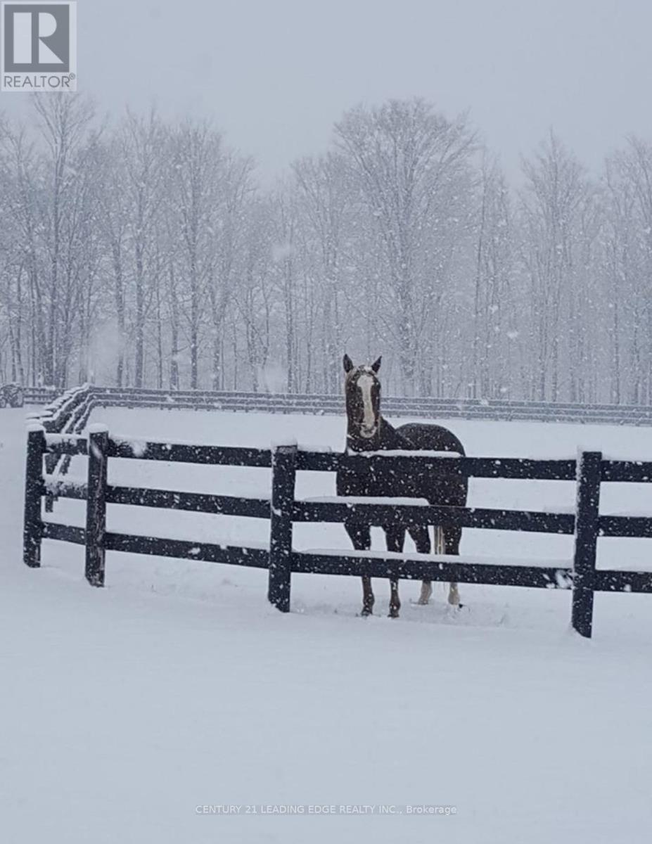 43 Thoroughbred Drive, Oro-Medonte, Ontario  L0K 1E0 - Photo 42 - S12744958