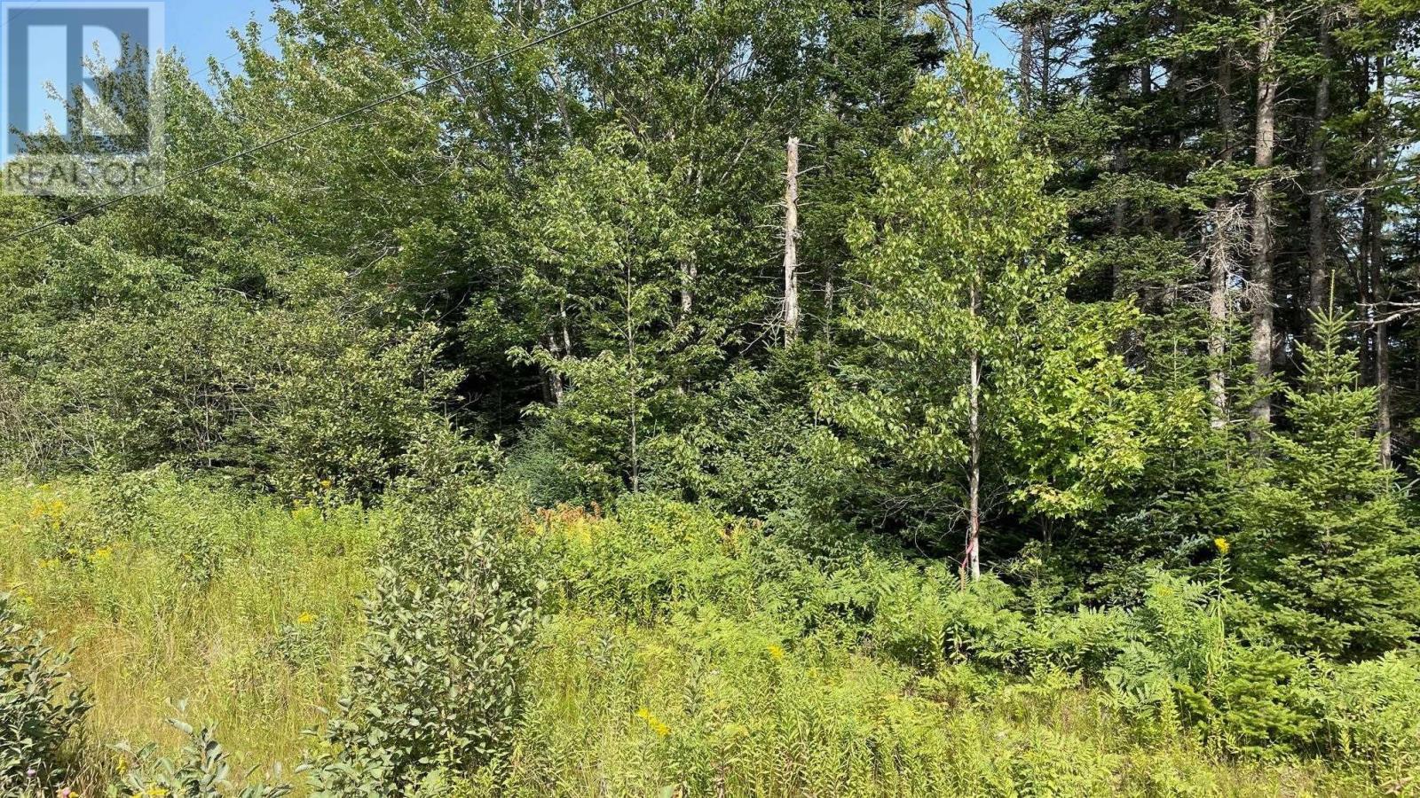 Grand Goulet Road, River Bourgeois, River Tillard, Nova Scotia  B0E 2X0 - Photo 12 - 202601055