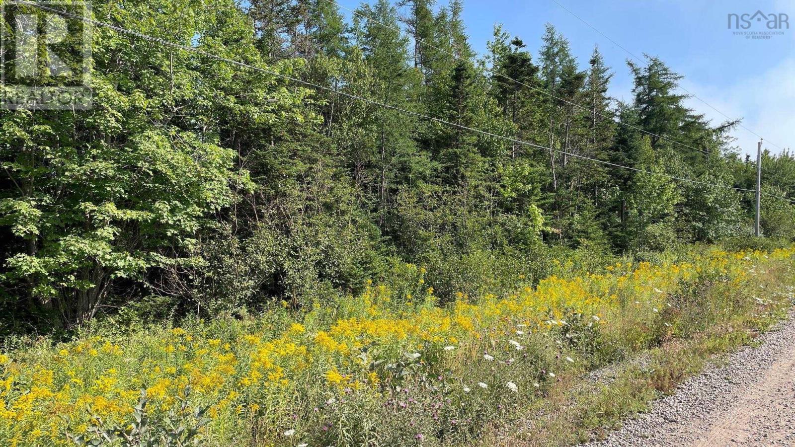 Grand Goulet Road, River Bourgeois, River Tillard, Nova Scotia  B0E 2X0 - Photo 7 - 202601055