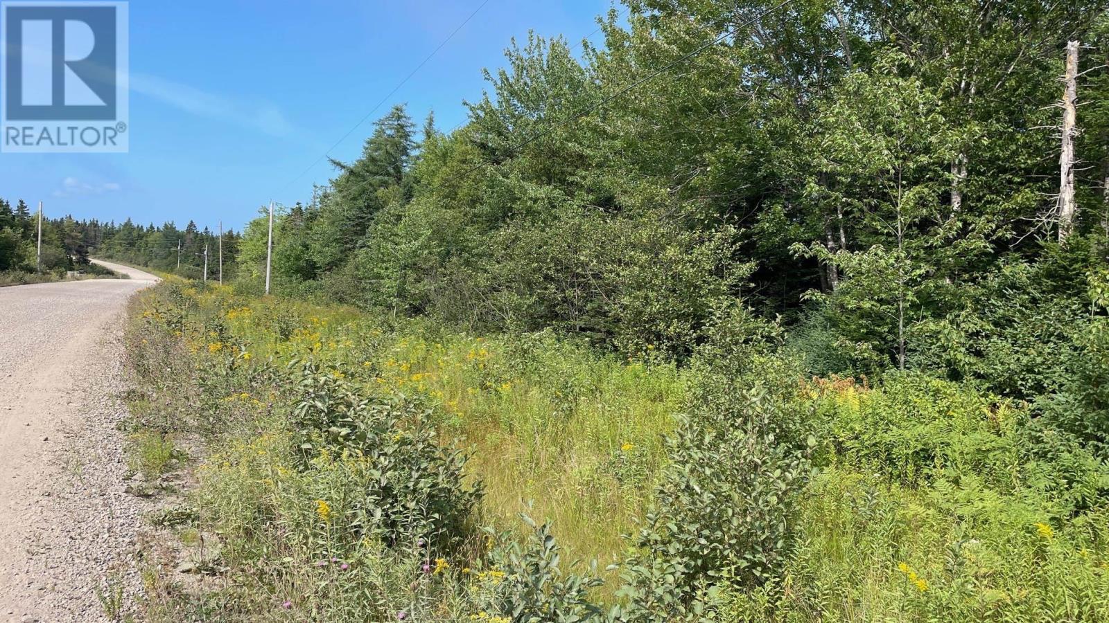Grand Goulet Road, River Bourgeois, River Tillard, Nova Scotia  B0E 2X0 - Photo 13 - 202601055