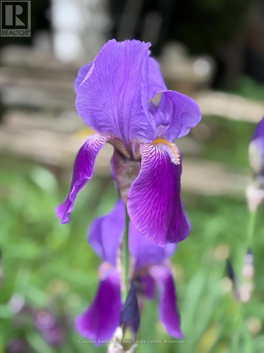 1229 County Road 124, Clearview, Ontario  N0C 1M0 - Photo 45 - S12712114