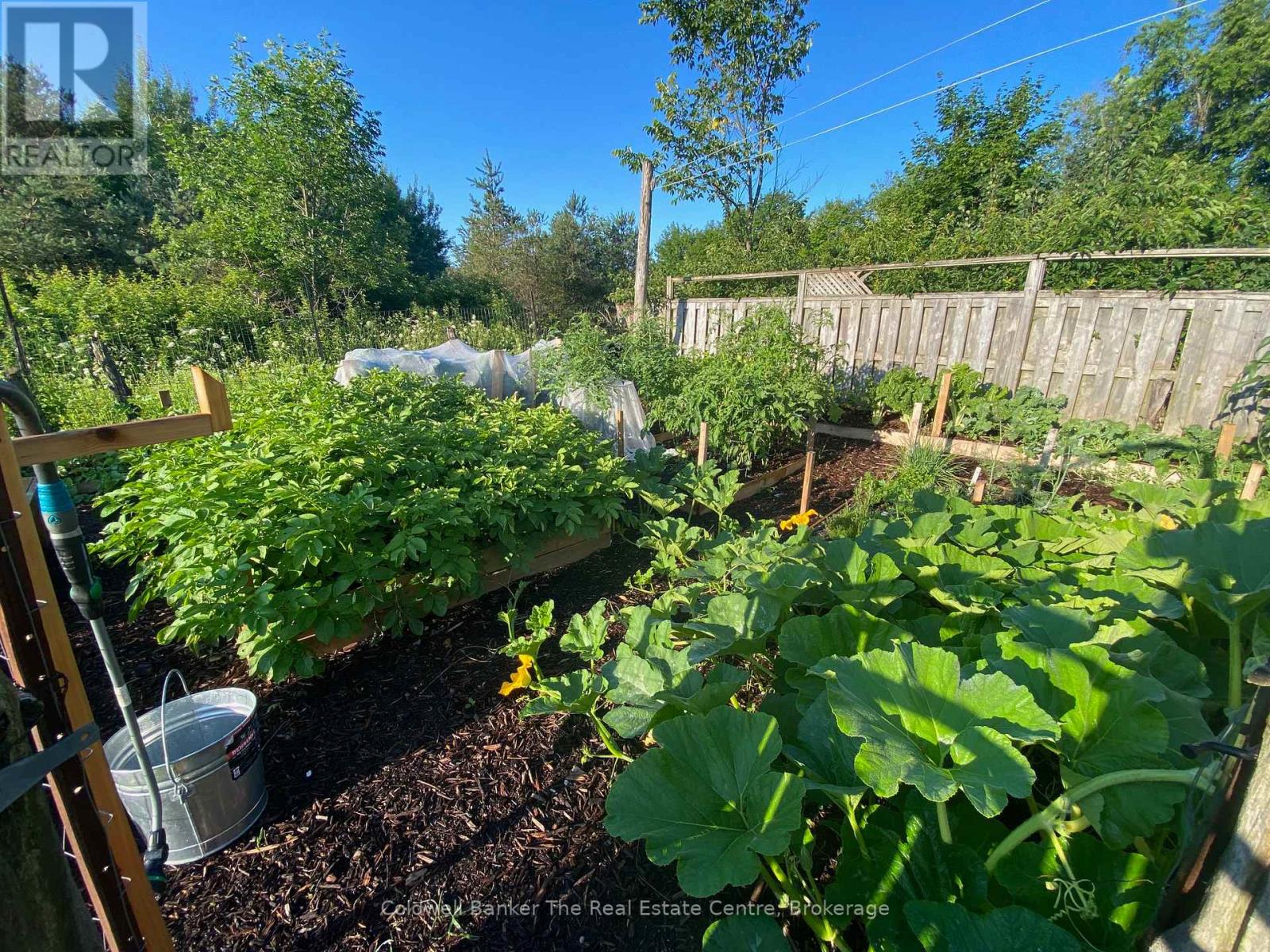 1229 County Road 124, Clearview, Ontario  N0C 1M0 - Photo 48 - S12712114