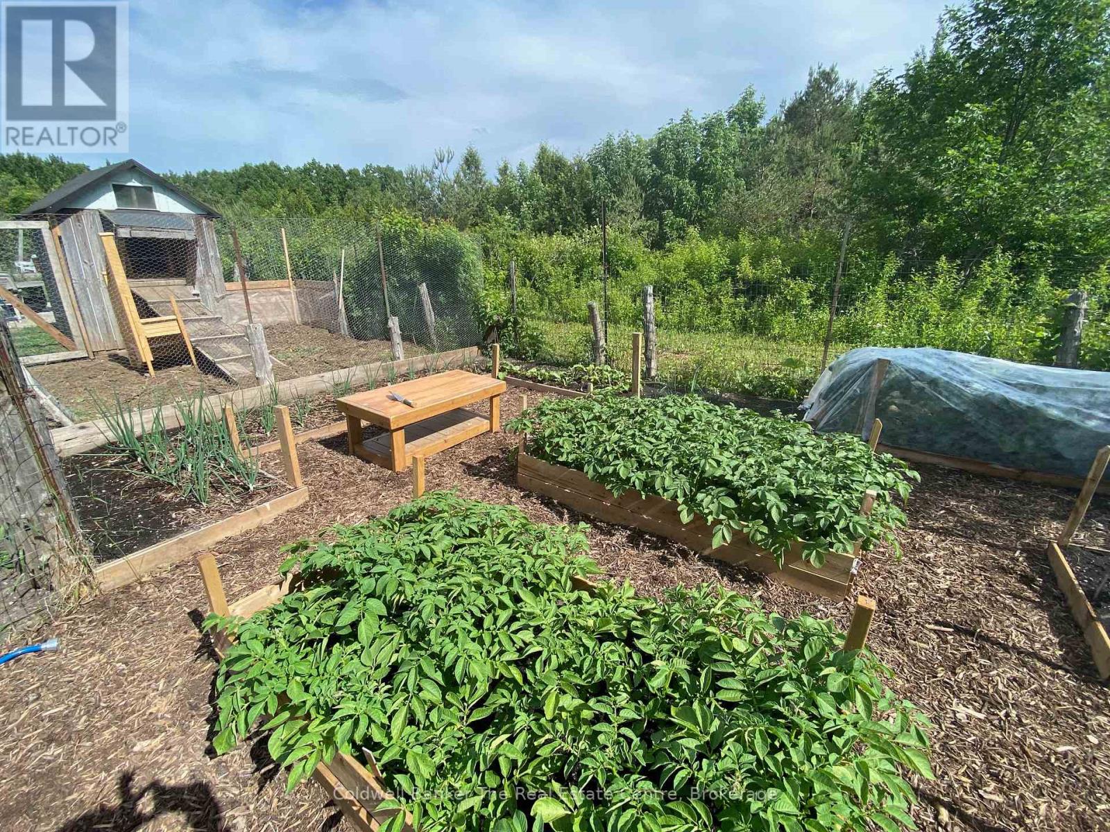 1229 County Road 124, Clearview, Ontario  N0C 1M0 - Photo 49 - S12712114