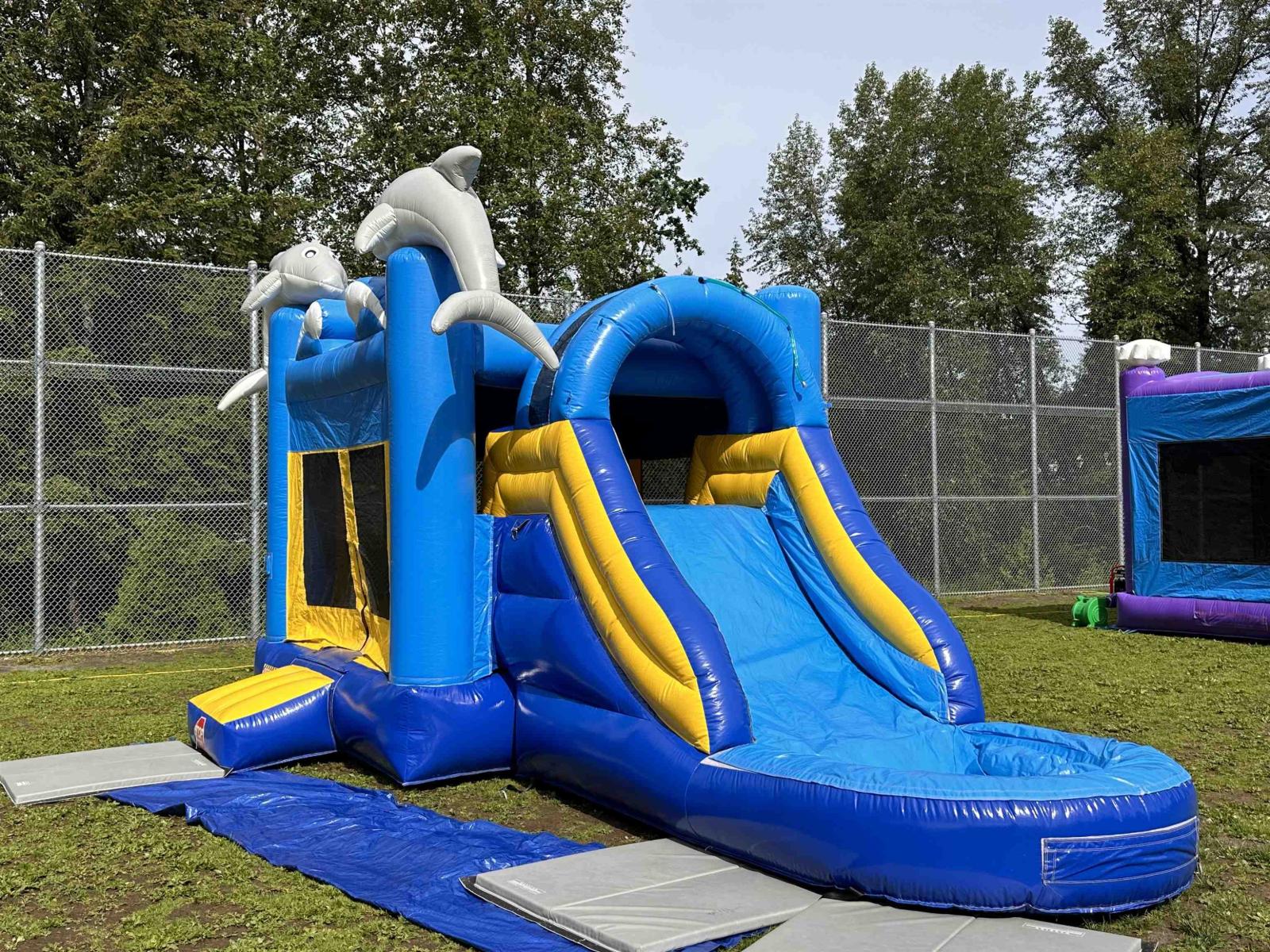 1561 Confidential Street, Surrey, British Columbia  V4C 4C1 - Photo 5 - C8075625