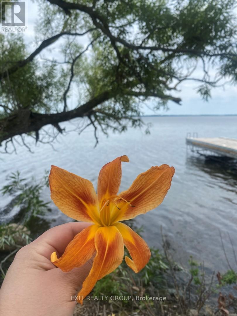 Lot 5 Hennessy Street, Prince Edward County, Ontario  K8N 4Z7 - Photo 7 - X12745148