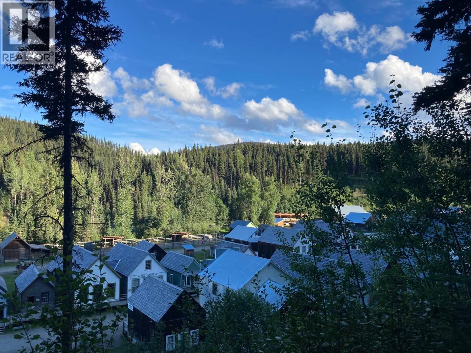 Main Street, Wells / Barkerville, British Columbia  V0K 1B0 - Photo 24 - C8074687
