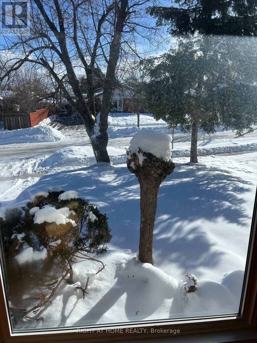 4 Hallow Crescent, Toronto, Ontario  M9W 2V9 - Photo 34 - W12744170