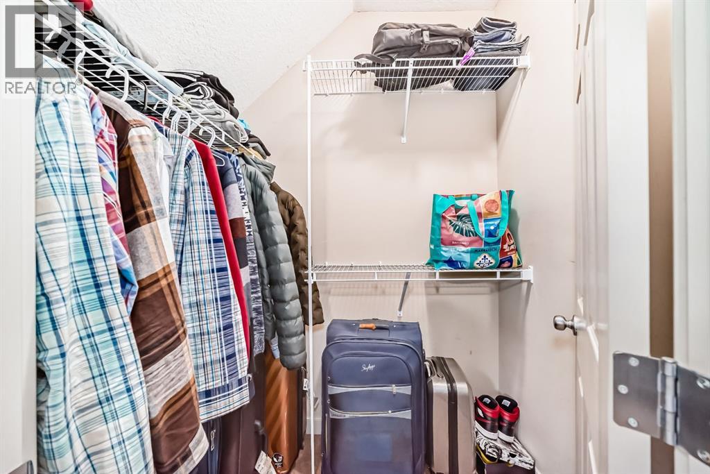 226 Saddlebrook Circle Ne, Calgary, Alberta  T3J 0K2 - Photo 20 - A2281263