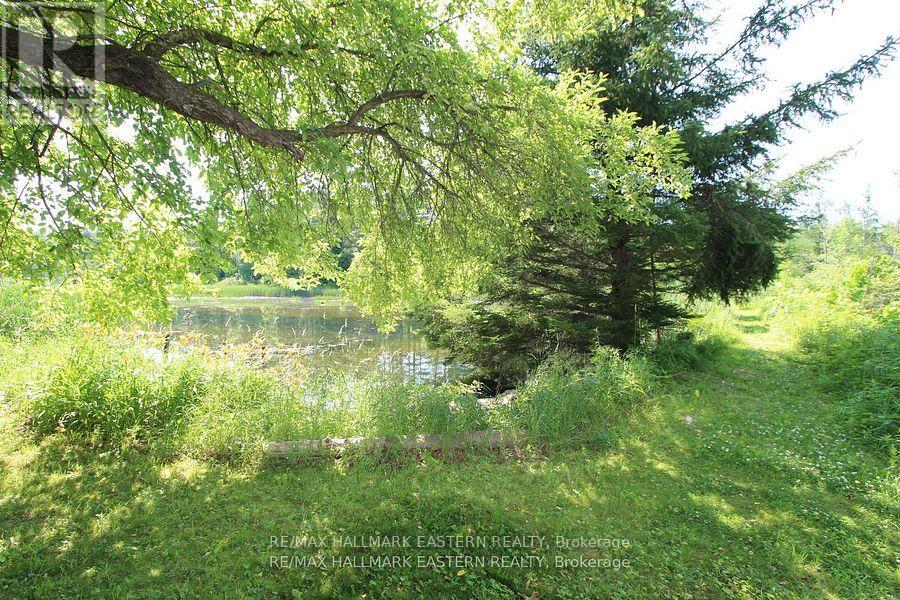 240 Cole Road, Havelock-Belmont-Methuen, Ontario  K0L 1Z0 - Photo 31 - X12456379