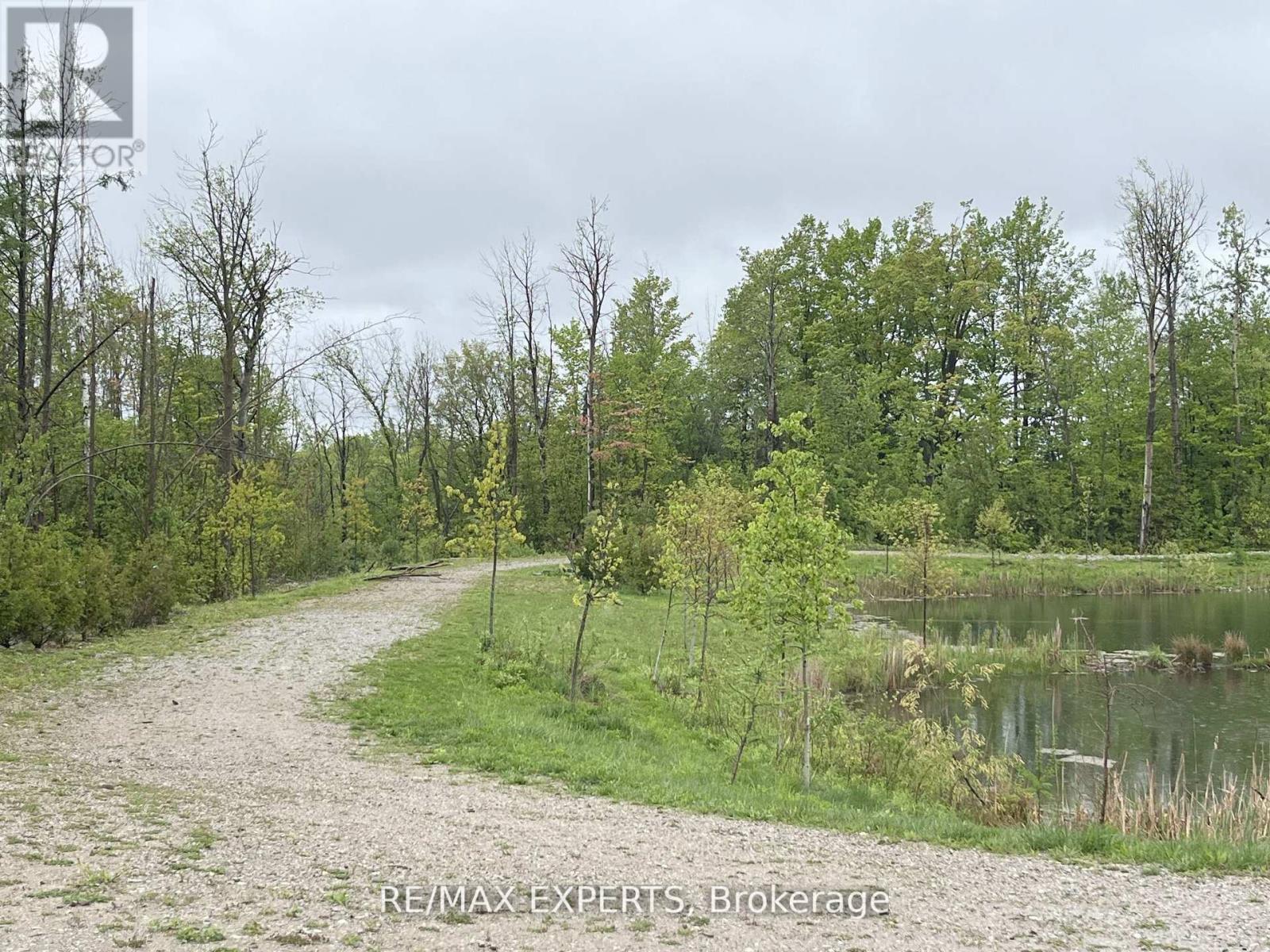 2217 Lozenby Street, Innisfil, Ontario  L9S 0M9 - Photo 30 - N12745476