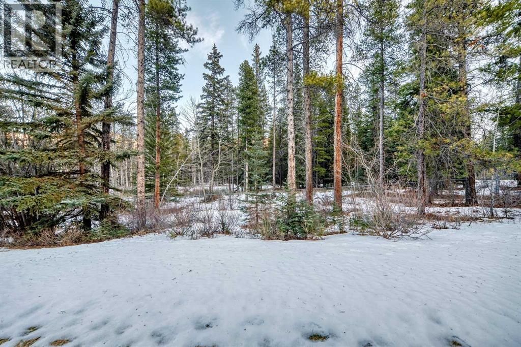 188, 91b Three Sisters Drive, Canmore, Alberta  T1W 3A1 - Photo 50 - A2279812