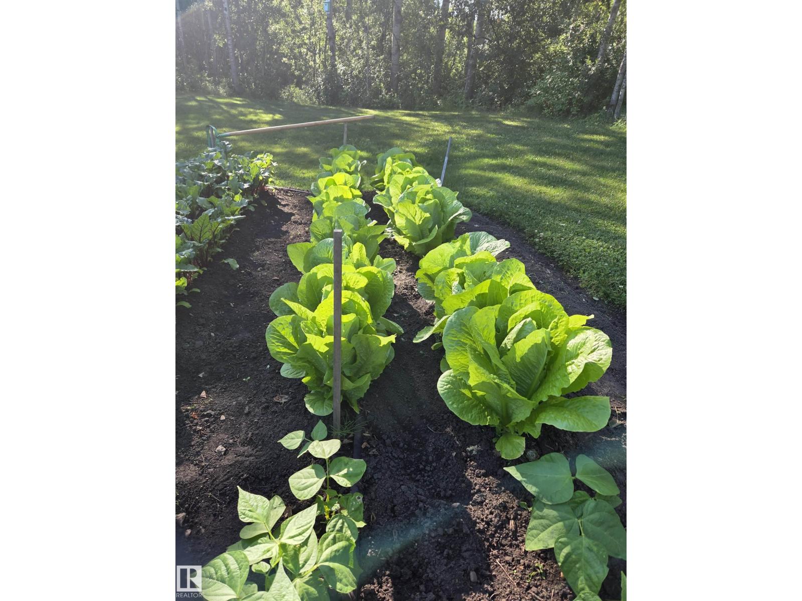 #362 53050 Rge Road 214, Rural Strathcona County, Alberta  T8E 2E1 - Photo 44 - E4471760