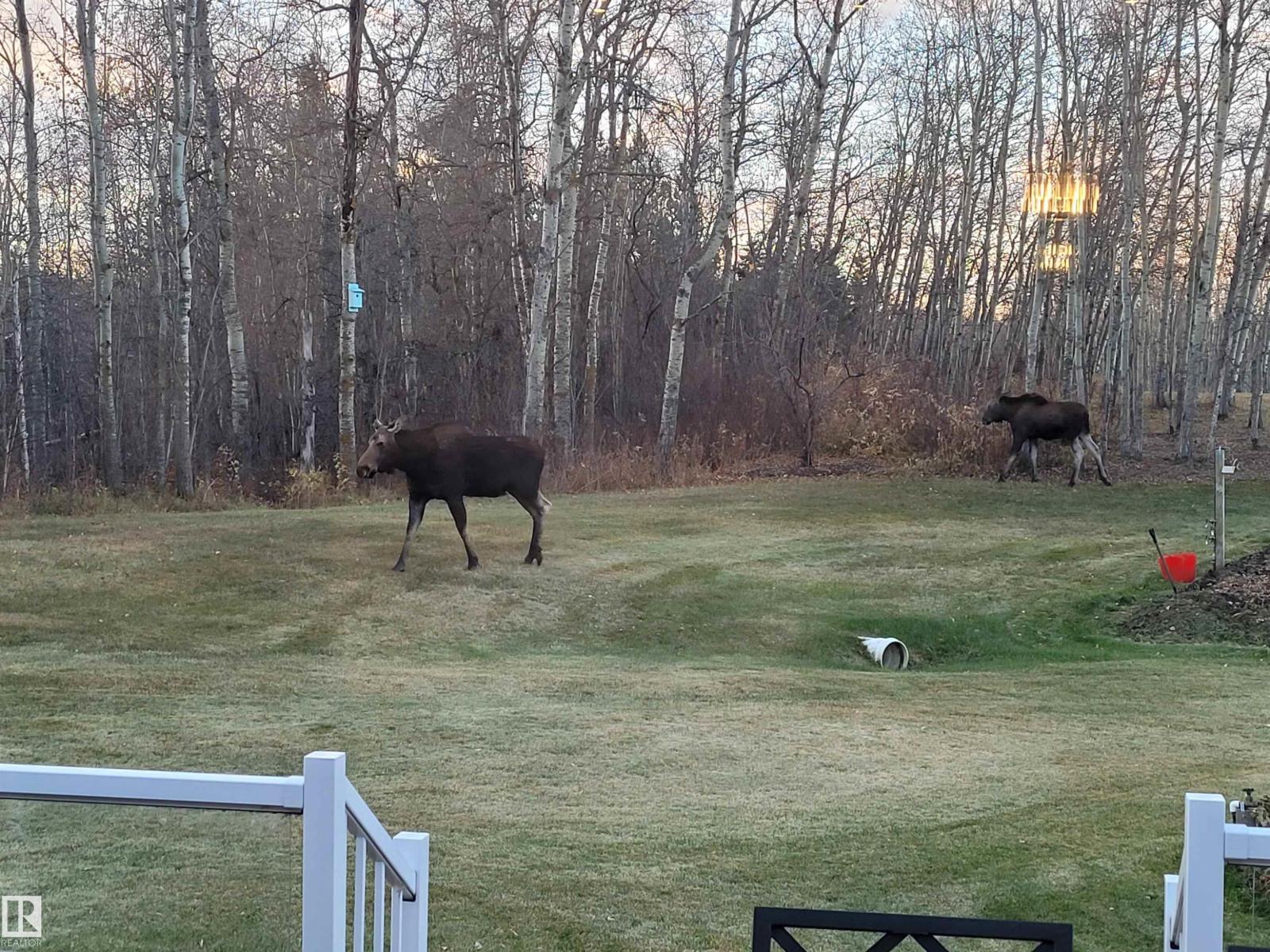 #362 53050 Rge Road 214, Rural Strathcona County, Alberta  T8E 2E1 - Photo 48 - E4471760