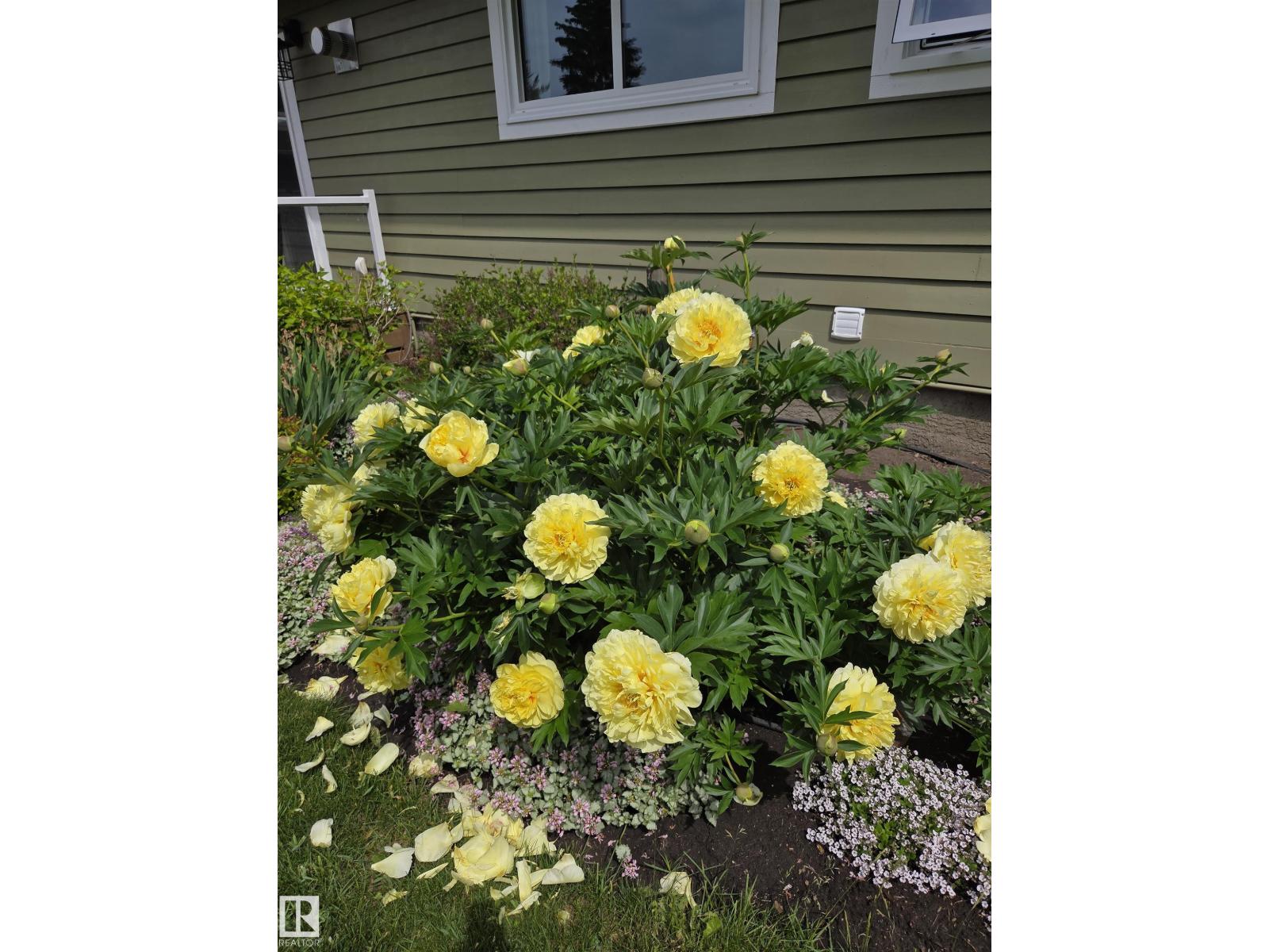 #362 53050 Rge Road 214, Rural Strathcona County, Alberta  T8E 2E1 - Photo 49 - E4471760