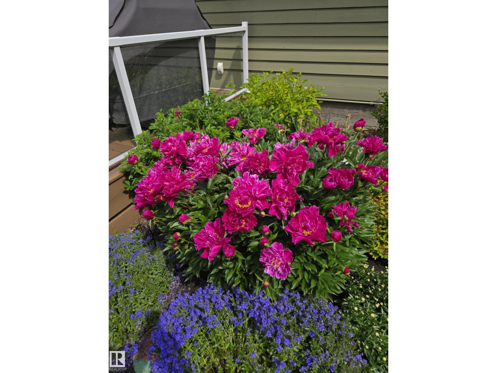 #362 53050 Rge Road 214, Rural Strathcona County, Alberta  T8E 2E1 - Photo 50 - E4471760