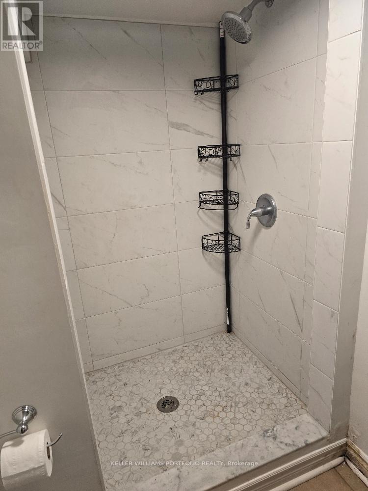 Basement - 223 Fairview Avenue, Toronto, Ontario  M6P 3A6 - Photo 7 - W12745502