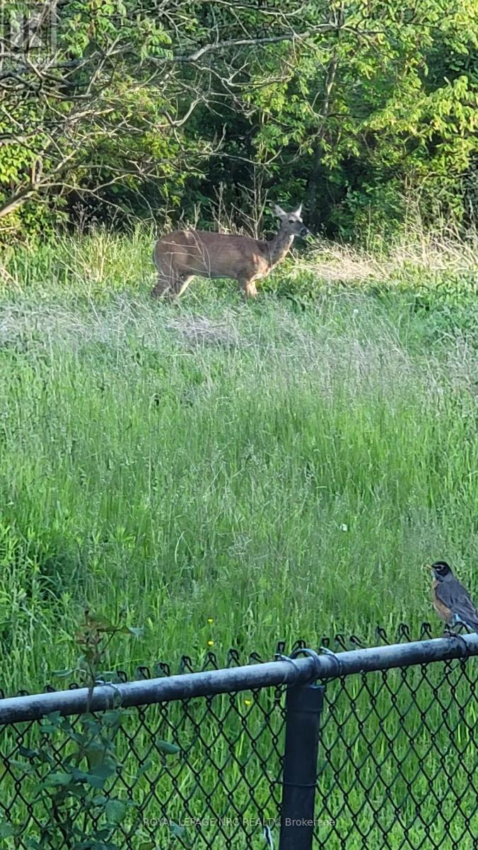 42 - 275 Pelham Street, St. Catharines, Ontario  L2S 3B9 - Photo 25 - X12745334