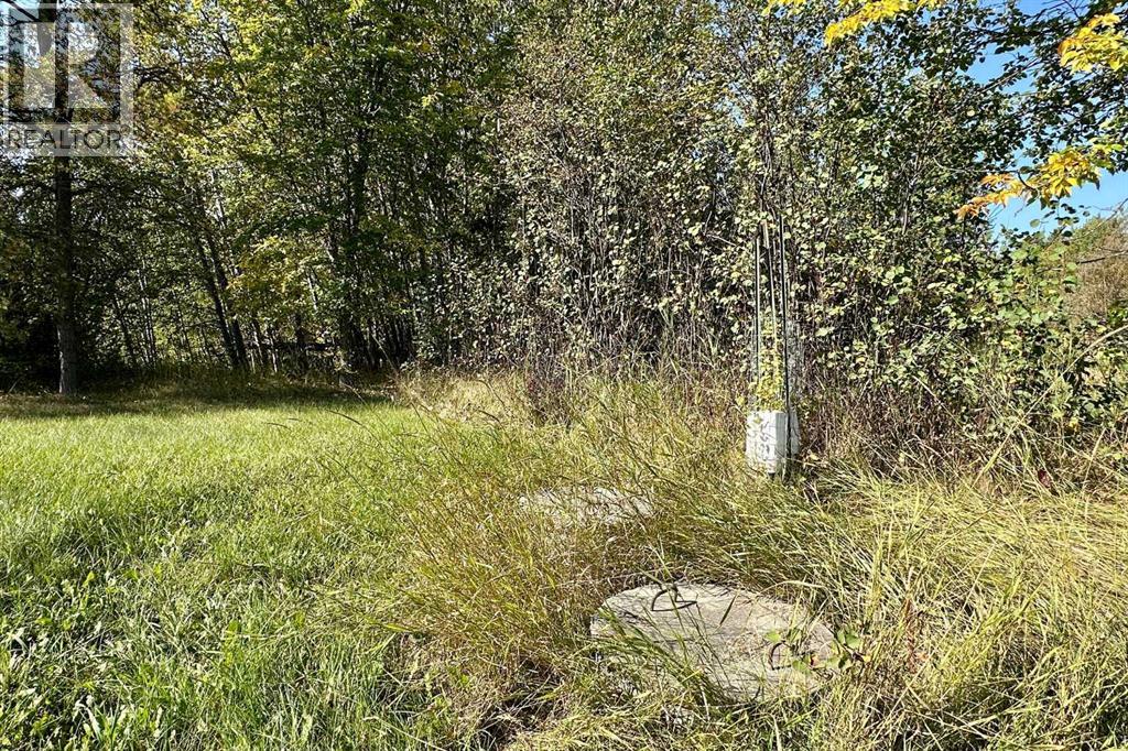 9230 Township Road 584, Rural Lac Ste. Anne County, Alberta  T0E 1N0 - Photo 15 - A2258504