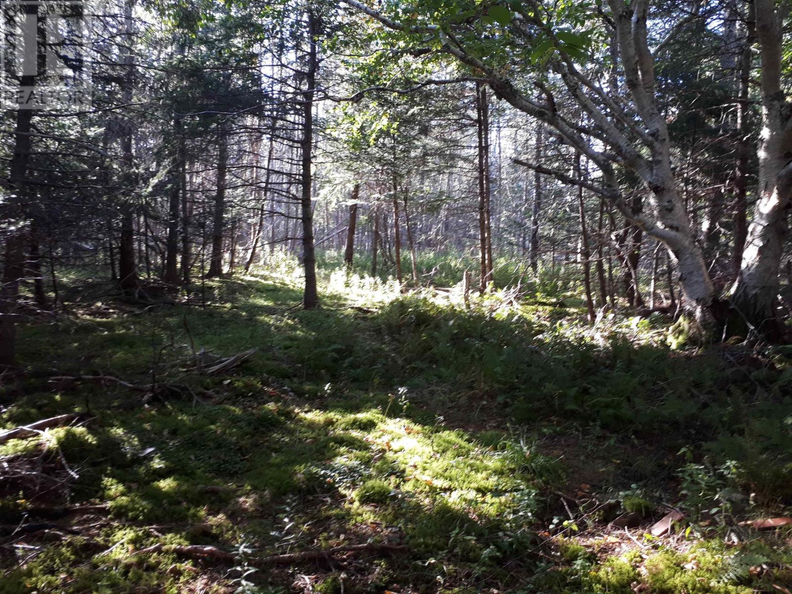 Lot 15 Walkerville Rd.,, Walkerville, Nova Scotia  B0E 1J0 - Photo 6 - 202601830