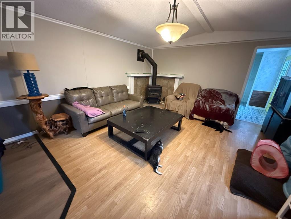 119 Park Lane, Swan Hills, Alberta  T0G 2C0 - Photo 8 - A2269864