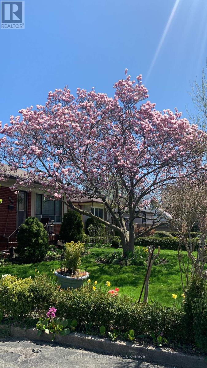 309 Queen Mary Drive, Oakville, Ontario  L6K 3L5 - Photo 37 - W12745594