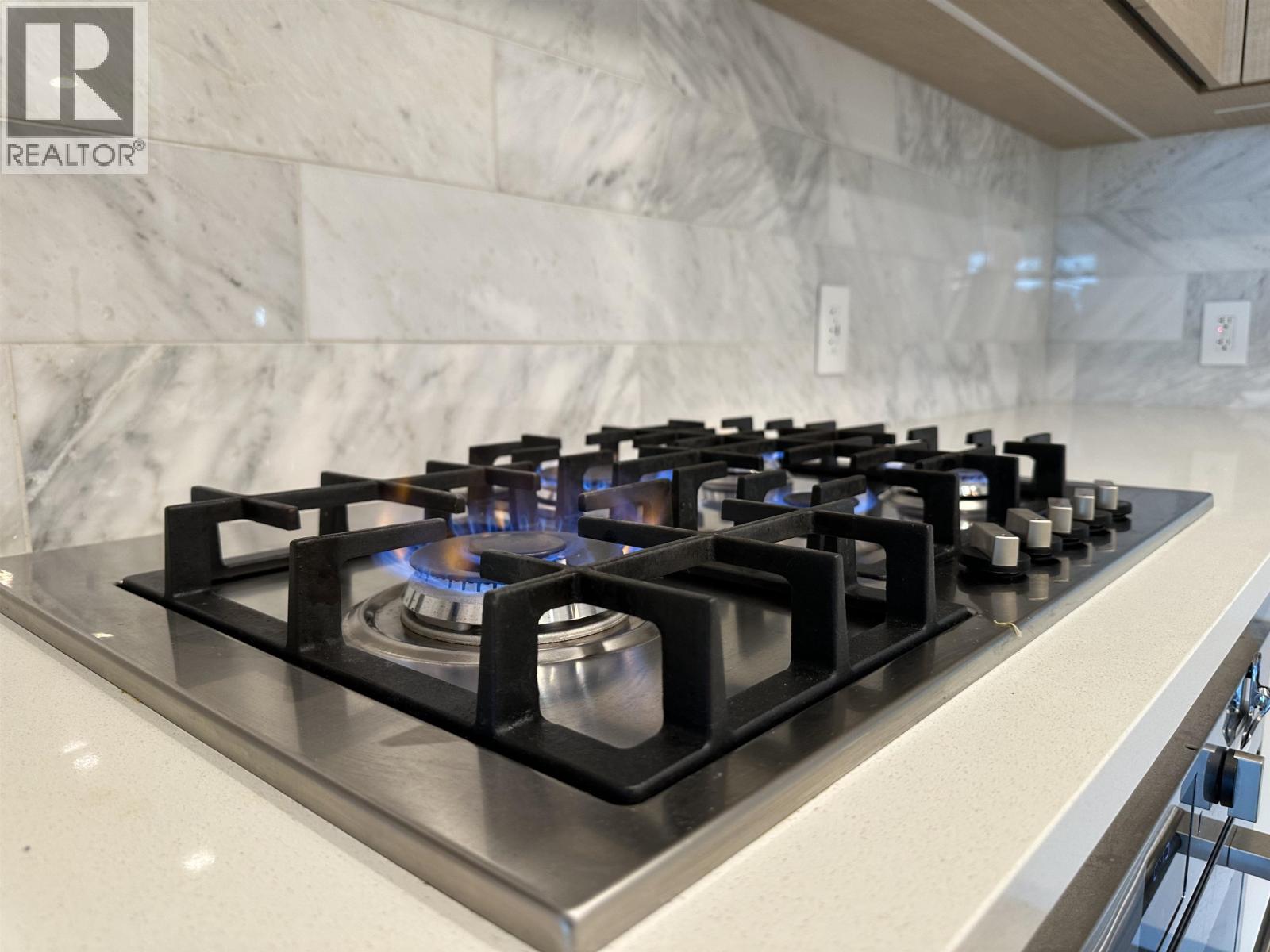 4411 2108 Gilmore Avenue, Burnaby, British Columbia  V5C 0N8 - Photo 8 - R3083386