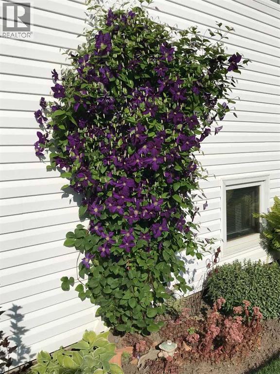 164 Mt Crandell Crescent W, Lethbridge, Alberta  T1K 6L8 - Photo 26 - A2283005