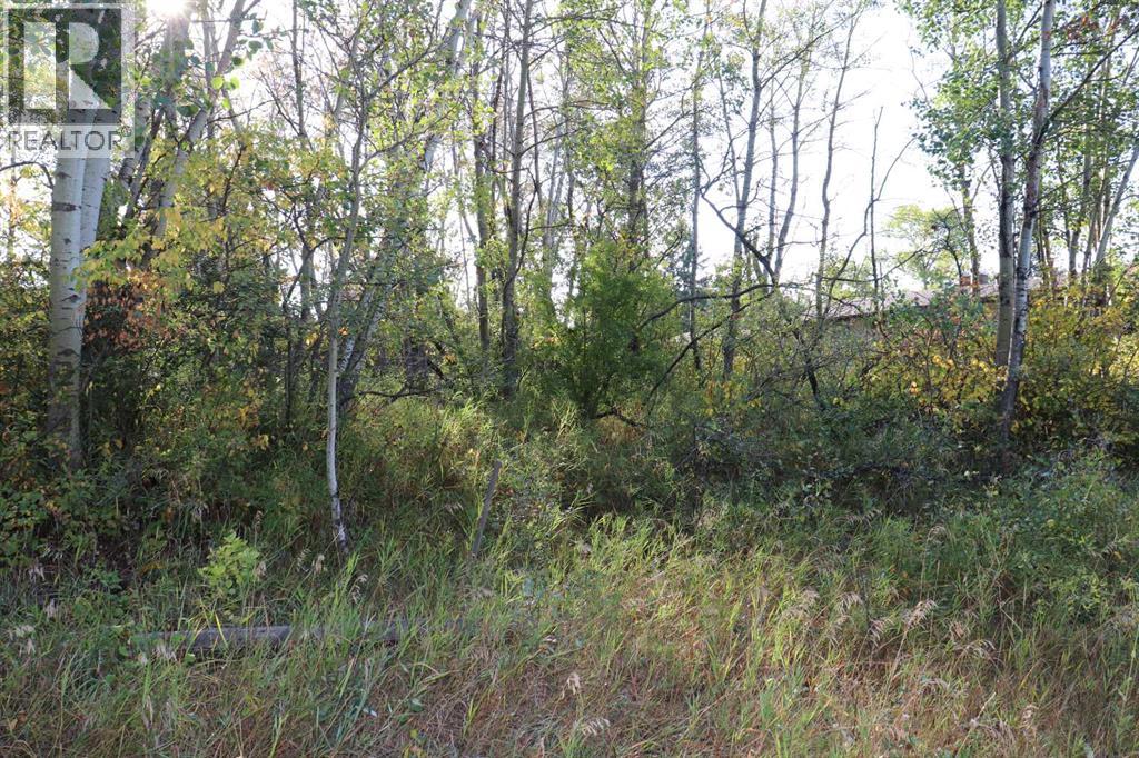 5007, 5009, 5011 42b Street, Ponoka, Alberta  T4J 1C4 - Photo 8 - A2257843