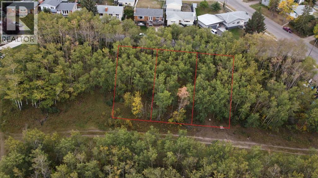 5007, 5009, 5011 42B Street, Ponoka, Alberta