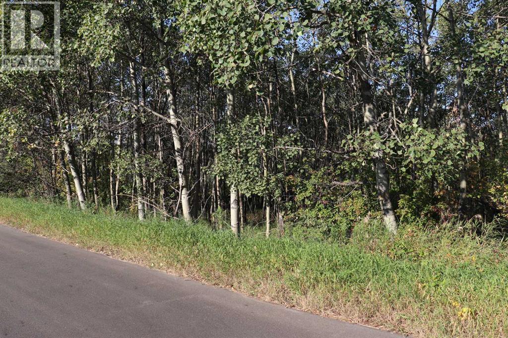 5007, 5009, 5011 42b Street, Ponoka, Alberta  T4J 1C4 - Photo 6 - A2257843