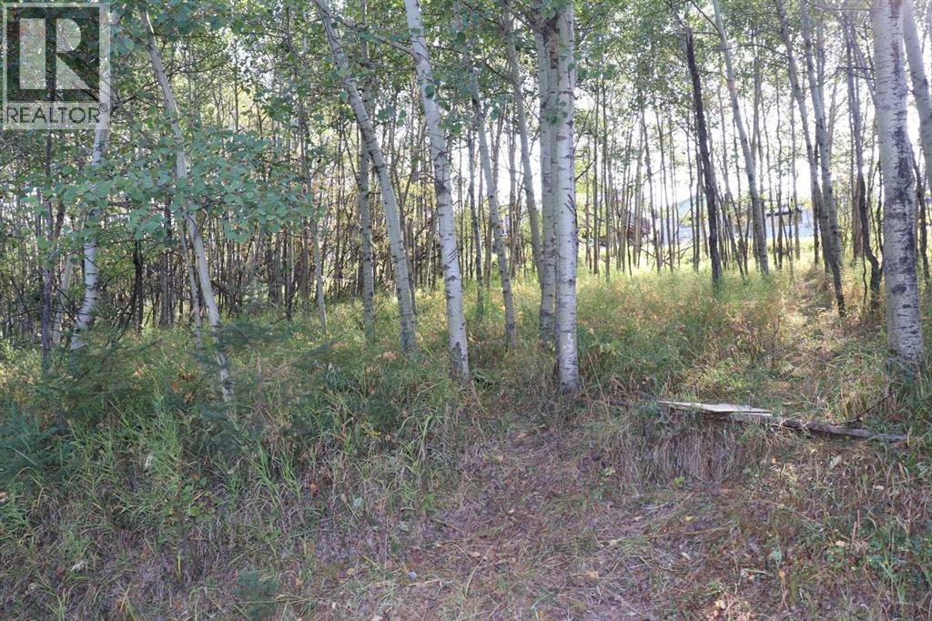 5007, 5009, 5011 42b Street, Ponoka, Alberta  T4J 1C4 - Photo 9 - A2257843