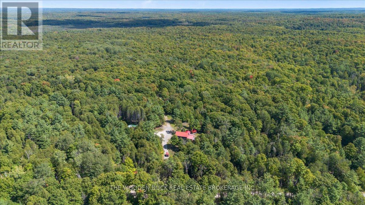 6683 Old Hastings Road, Tudor & Cashel, Ontario  K0K 1Y0 - Photo 42 - X12379227