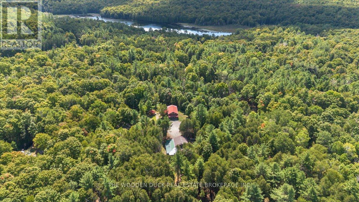 6683 Old Hastings Road, Tudor & Cashel, Ontario  K0K 1Y0 - Photo 43 - X12379227