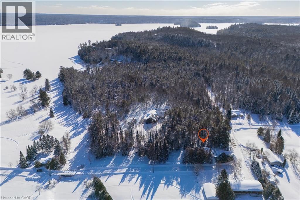 469 Rowanwood Road, Huntsville, Ontario  P0B 1M0 - Photo 38 - 40800003