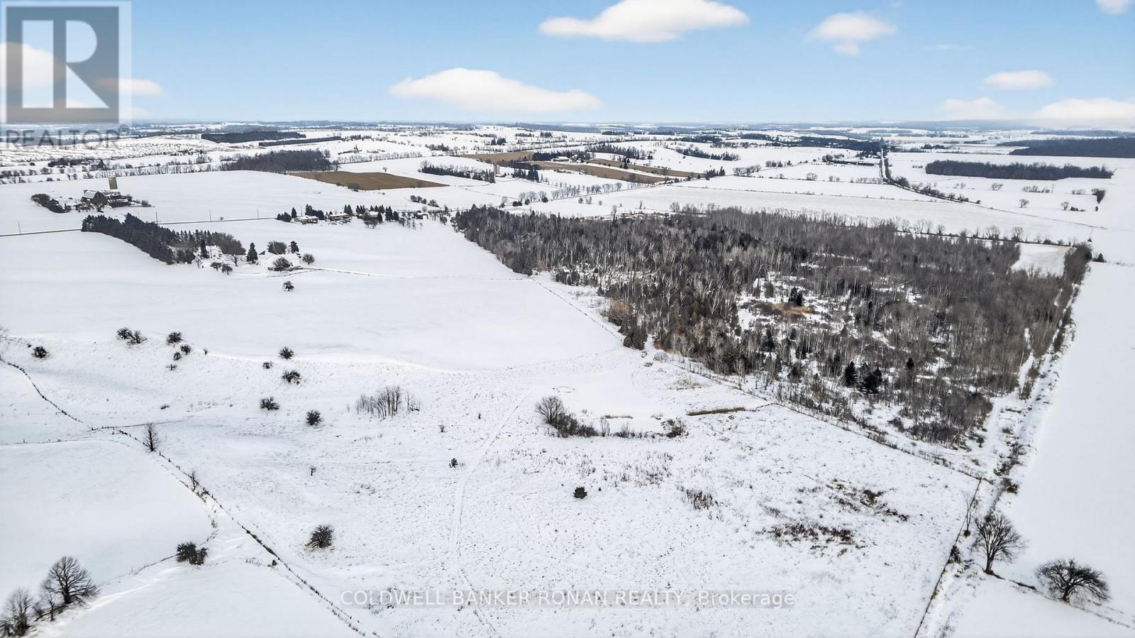 5977 13th Line, New Tecumseth, Ontario  L0L 1L0 - Photo 36 - N12247742