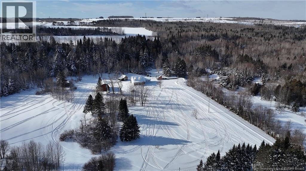 949 West River Road, Grand Falls, New Brunswick  E3Z 1S2 - Photo 32 - NB132571