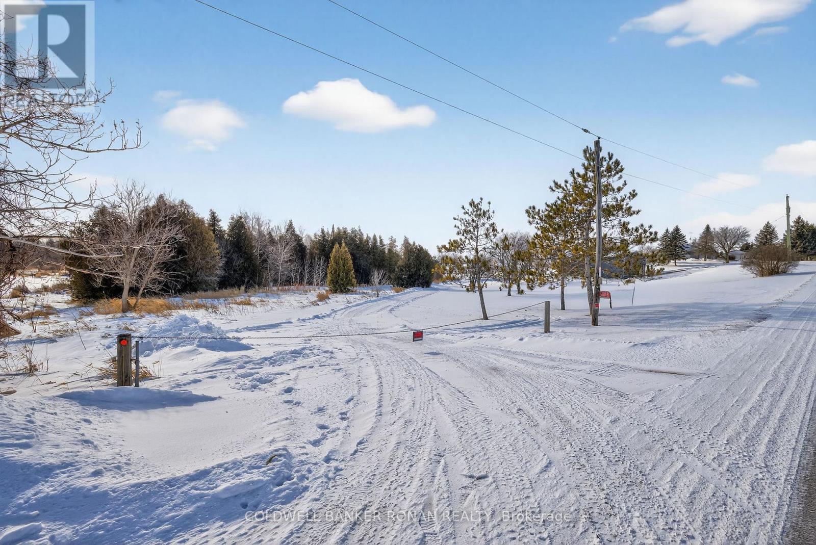 5977 13th Line, New Tecumseth, Ontario L0L 1L0 - Photo 37 - N12247750
