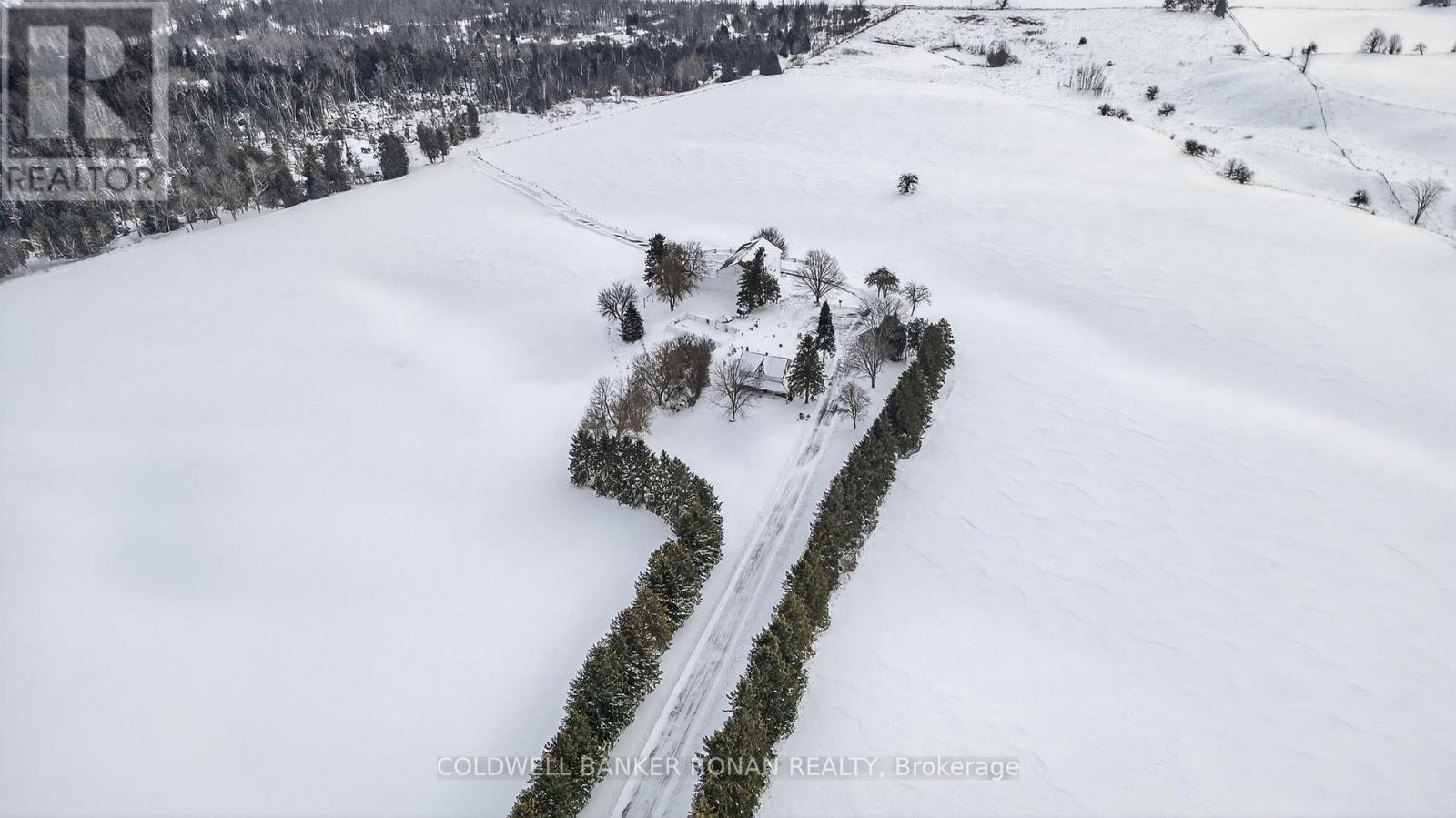 5977 13th Line, New Tecumseth, Ontario L0L 1L0 - Photo 34 - N12247750